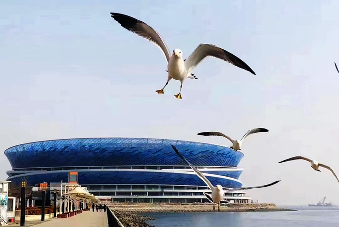 乐鱼电竞官网-大连人解散两周年，一直牢记说过的话！大连足球和英博应居安思危|大连人队|大连人职业足球俱乐部|球迷|足球城|俱乐部_新浪体育_新浪新闻